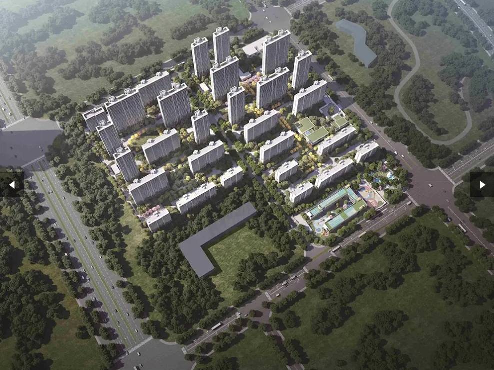 计容“红利”最后上车机会!pg电子模拟器试玩望雲：新(图5)