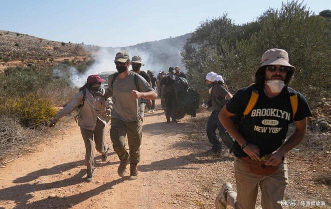 :西岸农民因定居者暴力而无法收获橄榄pg电子平台“橄榄对我们就是一切”(图2) :西岸农民因定居者暴力而无法收获橄榄pg电子平台“橄榄对我们就是一切”(图2)